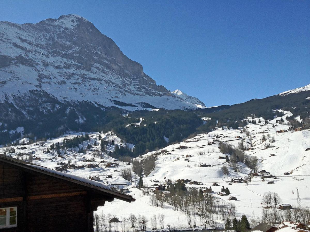 Apartment Chalet Mittelhorn-1 Гріндельвальд Екстер'єр фото