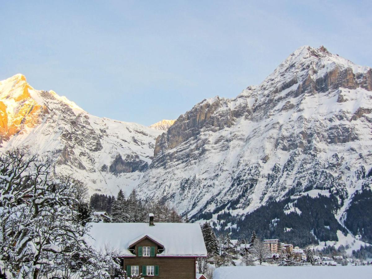 Apartment Chalet Mittelhorn-1 Гріндельвальд Екстер'єр фото
